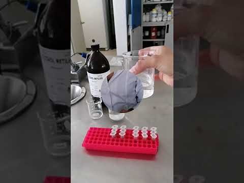Extracción de flavonoides en muestras no líquidas