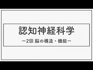 認知神経科学（神経・生理心理学）2021_02_脳の構造と機能