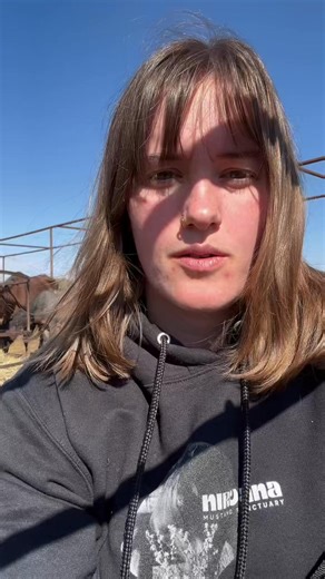 🚨Momma & baby pairs of reservation mustangs dropped off in the night!!!🚨 We have just over $17,000 to go to hit our $25,000 match- which will DOUBLE your donations and allow us to keep some of these momma & baby pairs together and safe from the kill buyers who will separate them, ship the mommas across the border, and leave the babies to go through a string of auctions, alone, where they will probably end up sick, even more malnourished. PLEASE HELP US GET THEM SAFE. THEY DONT HAVE MUCH TIME!!