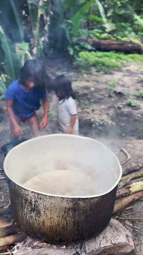 Como Fazer Suco de Pupunha: Receita Deliciosa