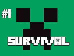 SURVIVALCRAFT - MINECRAFT - Part 1 W/ Blitzwinger & Gamer (Survival) (HD)