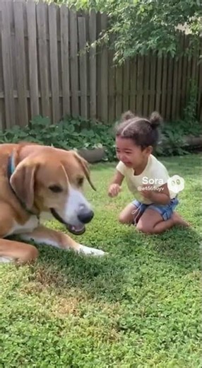 A young child, tears streaming down their face, playfully swats at a dog with their hand