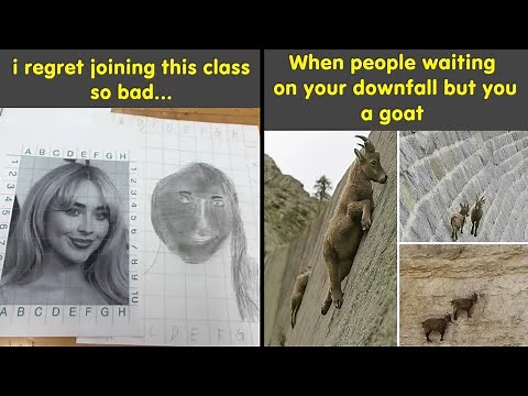 Hilarious Posts You’ll Read Instead of Getting Anything Done 😂📱