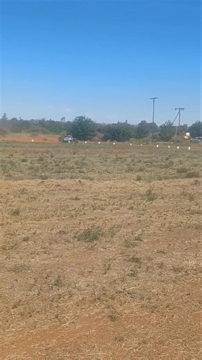 Diggers-inn Pub and Grill on Reels