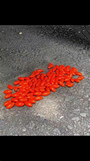 Satisfying Crunchy Things Being Crushed by a Vehicle