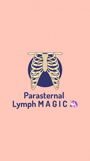 Leah Levitan | Lymph Literacy Advocate on Instagram: "Parasternal M A G I C ✨ The parasternal lymph nodes are the unsung heros of breast and chest drainage. They drain about 20-25% of our breast tissue and the neighboring chest wall but don’t get a lot of lymph love! Shallow breathing, and a lack of daily movement in our shoulders and thoracic spine often means “sticky” ribcages. Immobile ribs don’t articulate fully upon inhalation. Ribs should lift and rotate a little when we breathe, just like