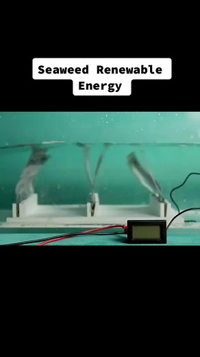 Small wave generator testing! #windturbine #solarpower #viral #fyp #fypシ #renewableenergy #energy #waveenergy #wavegenerator #tidalwave
