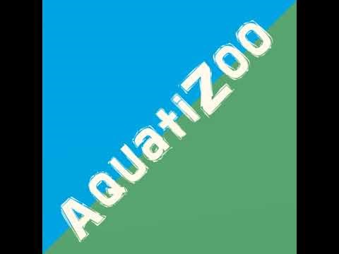 Accountability in Teams