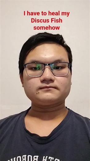 Healing My Discus Fish: Essential Care Tips