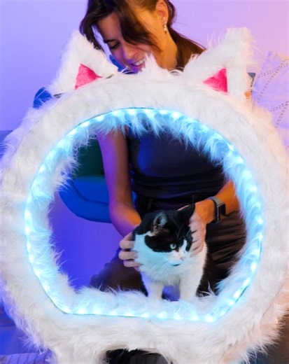 Creare un'accogliente casa per gatti con il cartone | 5 Minuti Creativi Giochi