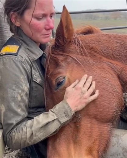 The pen was already knee-deep in mud when Erin felt it — something was very wrong. The mare wasn’t moving. Just standing there, trembling, breath ragged, legs sliding out from under her. When she tried to get up, she collapsed instead, her head dragging through the wet ground. Erin didn’t think. She dropped to her knees, lifted the mare’s heavy head into her lap, and wiped mud from her face with shaking hands. “Hey… lean on me,” she whispered, rain blurring everything. And the mare did. Her brea
