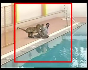 O M G | Yes Amazing world