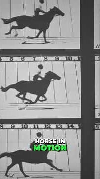 Muybridge: The First Motion Pictures