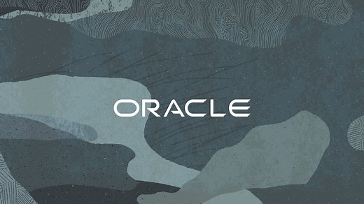 Oracle P6 R23.12 软件培训入门到精通-石化行业案例