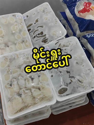 Blue Wave seafood & commodity distribution #တောင်ကြီး #seafood #ပင်လယ်စာအစုံ #စားမယ်ဝါးမယ် #syp