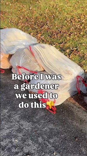 Trash bags to Garden Treasure #sustainableliving #leaves #gardentip