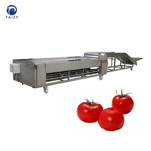 Automatic Apple Grading Machine Garlic Potato Tomato Sorting Machine