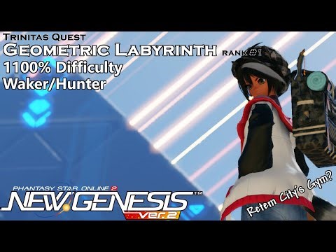 [PSo2:NGS] Geometric Labyrinth Rank #1 Max% Waker/Hunter