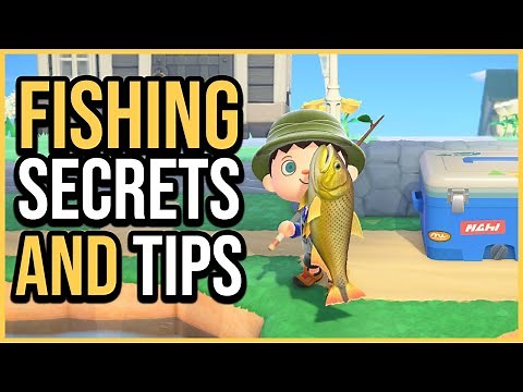How to Fish in Animal Crossing New Horizons | Guide for Beginners