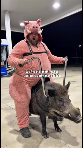 #stitch with @Everything Must Go Wrong #fyp | stich