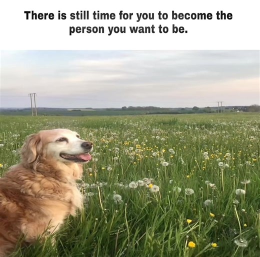 Keep Loving Yourself: The Power of Positivity