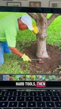 The Sick Tree Treatment