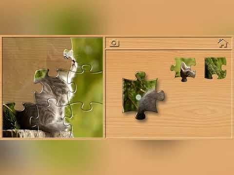 Pet ( Cat ) Puzzle || Jigsaw Puzzle || Puzzles for Kids Game 'Fun Game' with Voice