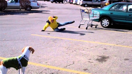 Dog Wipes Out During Grocery Store Trip