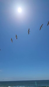9K views · 100 reactions | Point Mugu Surf Contest at Naval Base Ventura County going on now...beautiful weather, surfing, family activities, food trucks and more. Take Las Posas south to the endpoint at the Base. #pointmugu #navalbaseventuracounty #surfcontest | Conejo Valley Guide | Facebook