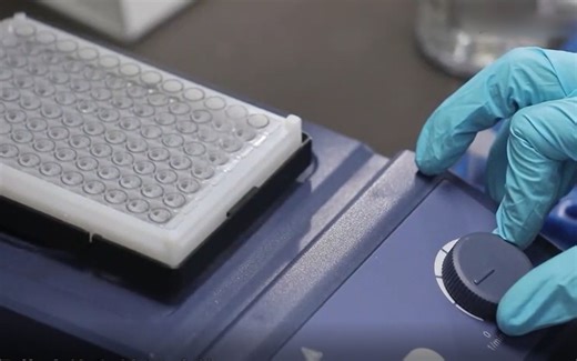 【实验】酶活力测定，米氏常数测定，结果分析，注意事项，酪氨酸酶，左旋多巴