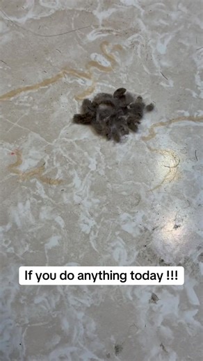 How to Clean Your Hair Dryer Effectively