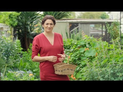 How to make fresh tea from herbs in your garden