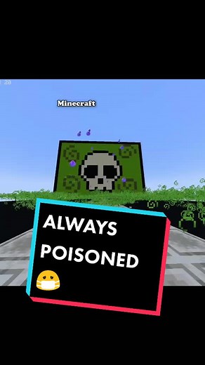 Dealing with Minecraft Potion Dizziness