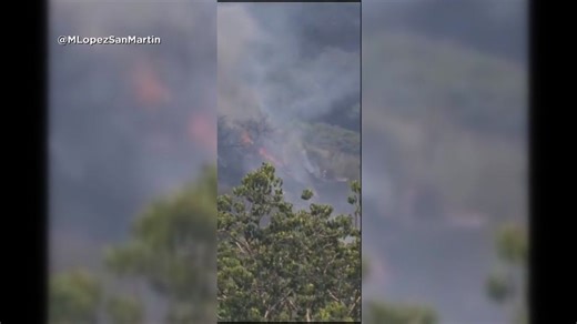 Video shows 2023 plane crash involving same airline in deadly Philadelphia wreck