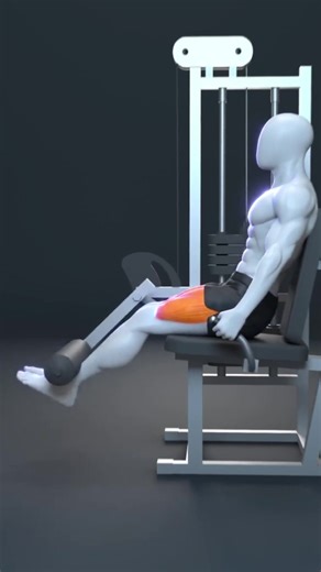Common Leg Extension Mistakes to Avoid