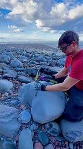 Three beach hunts, three fascinating fossil discoveries! 😱🏝️ Each trip brought something different