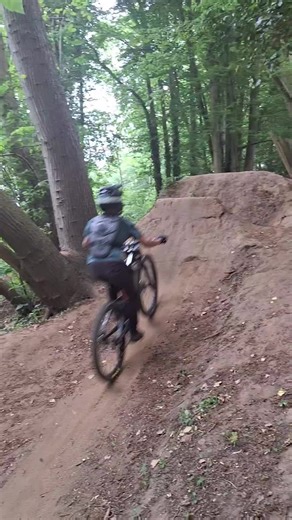 tajus_on_dh (@tajus_on_dh)’s videos with originalljud - LTZ®