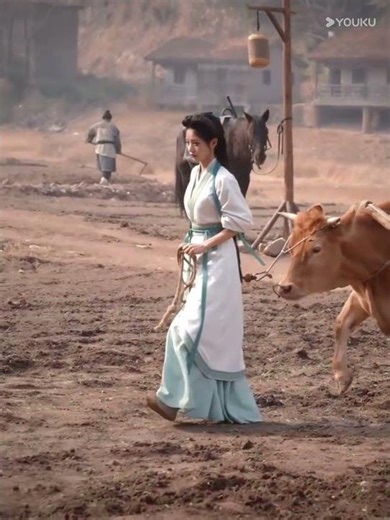 💥#嫁金钗 #田曦薇 💓看田曦薇闫桉放牧#TransferGoldHairpin #TianXiwei