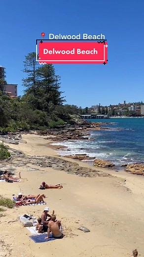 Discover the Hidden Gem of Delwood Beach in Manly, Australia