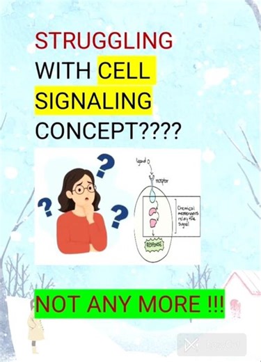 Cell Signaling: PART 3: How Hormones Work !! #cellbiology #cellbiologycsirnetlifescience #cuetpg
