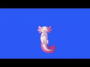 Axolotl animation green screen/animation Axolotl video on green screen footage
