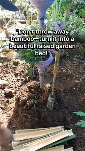 DIY Bamboo Raised Garden Bed 🌱 Easy Backyard Garden Upgrade #garden