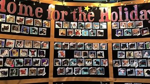 We are 29 pets away from reaching our goal of 11,000 adoptions this year! Come to OHS this morning and give a dog, cat or small animal a forever home. www.oregonhumane.org/adopt | Oregon Humane Society