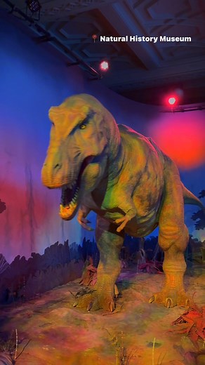 This is a large, life-size mechanical T. rex 📍Natural History Museum (London), almost like a real one 🦖🦕#naturalhistorymuseum #london #fbreels #dinosaur #reelsviralシ @highlight | Goldie Vibes