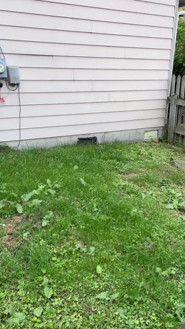 What is this noise coming from my neighbors house?