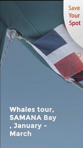 Whale Watching Season in Samaná Bay