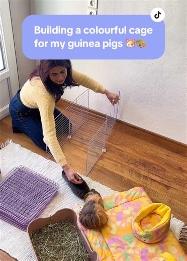 Find the Kavee Pigcasso Collection on kavee.com or Tiktok Shop (link in bio)! 🎨🐹 No more grey days! Today I’m building a bright and colourful 4x2 cage for my guinea pigs! I used lilac grids, clear panels, and of course the new limited edition Pigcasso collection. The fleece liner is super easy to clean, and the accessories are ultra cosy. My piggies love it! Build your dream guinea pig cage too on kavee.com or TikTok Shop 💕 #guineapig #guineapigs #cage #tutorial #setup
