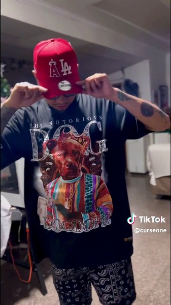 Stylish Dog Clothes for Fashionable Pets