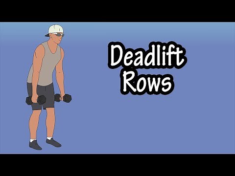 How To Do, Perform Dumbbell Deadlift Rows Exercise For Beginners - Combination Exercises