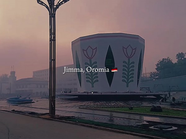Discover Jimma: The Birthplace of Coffee in Oromia